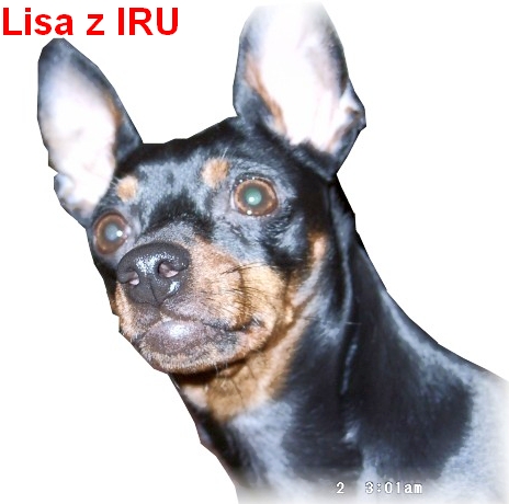 Lisa z IRU 09 G