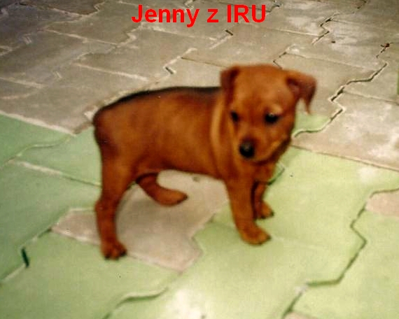 5.9.1999 Jenny z IRU 8,5 týdne