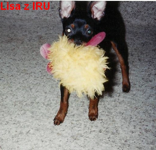 (24) 2000 srpen Lisa z IRU s hračkou