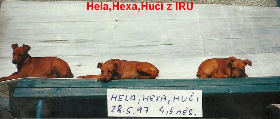 28.5.1997 Hela,Hexa,Huči na lavičce, 4,5 měs.