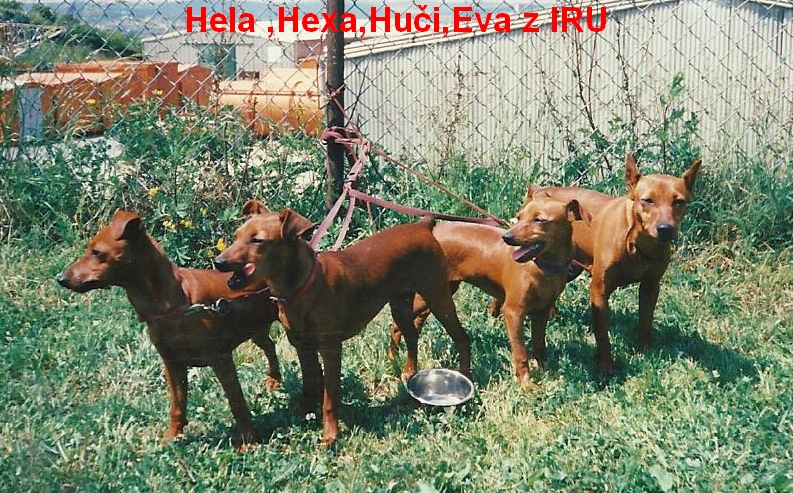 7.6.1997 Hela,Hexa,Huči,Eva z IRU na kl.v. Brno
