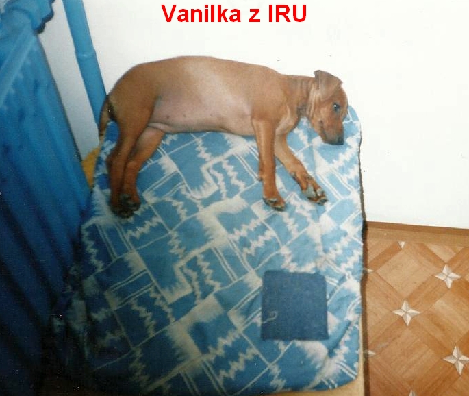 21.9.2005 Vanilka z IRU pohodička