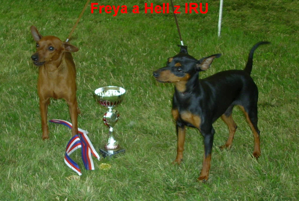 NV.Ml.Bol.15.7.2012 Freya a Hell prostné s ušima 3