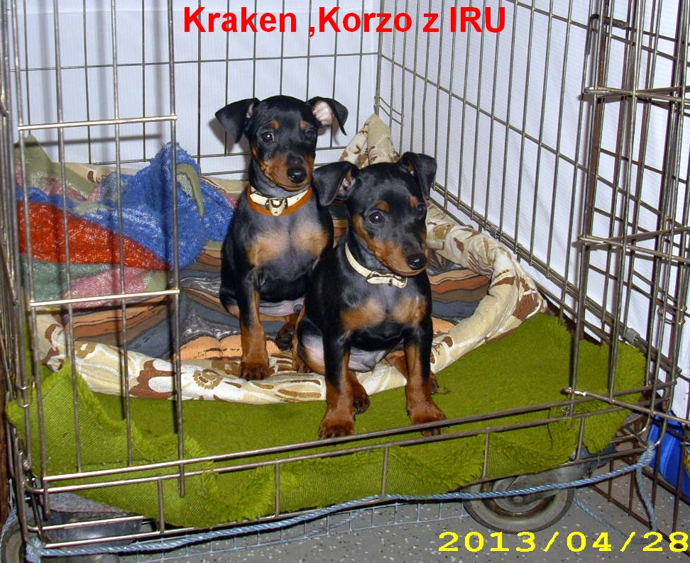28.4.2013 Kraken a Korzo z IRU v Drážďanech,nějaká výstava nás nerozhodí.