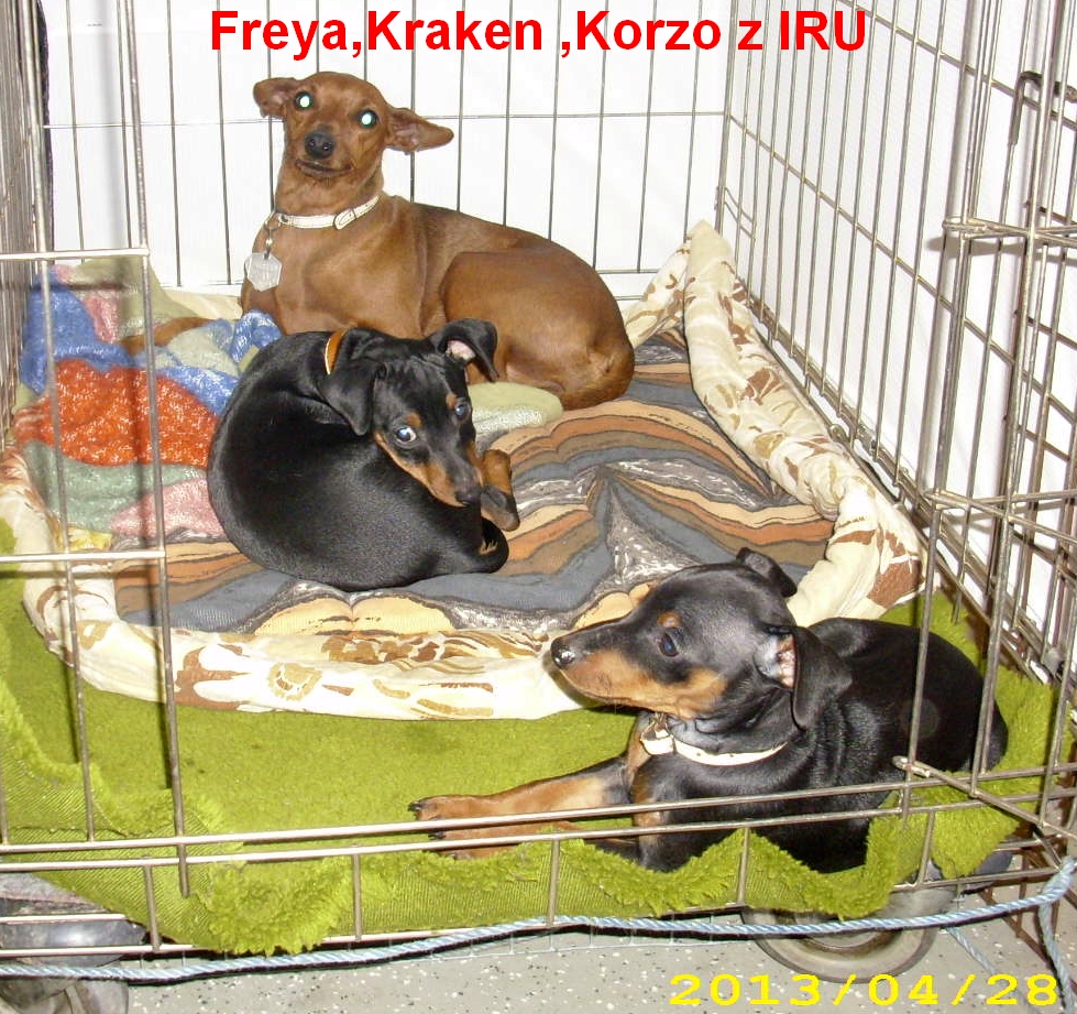 28.4.2013 Freya,Kraken,Korzo z IRU v Drážďanech na výstavě