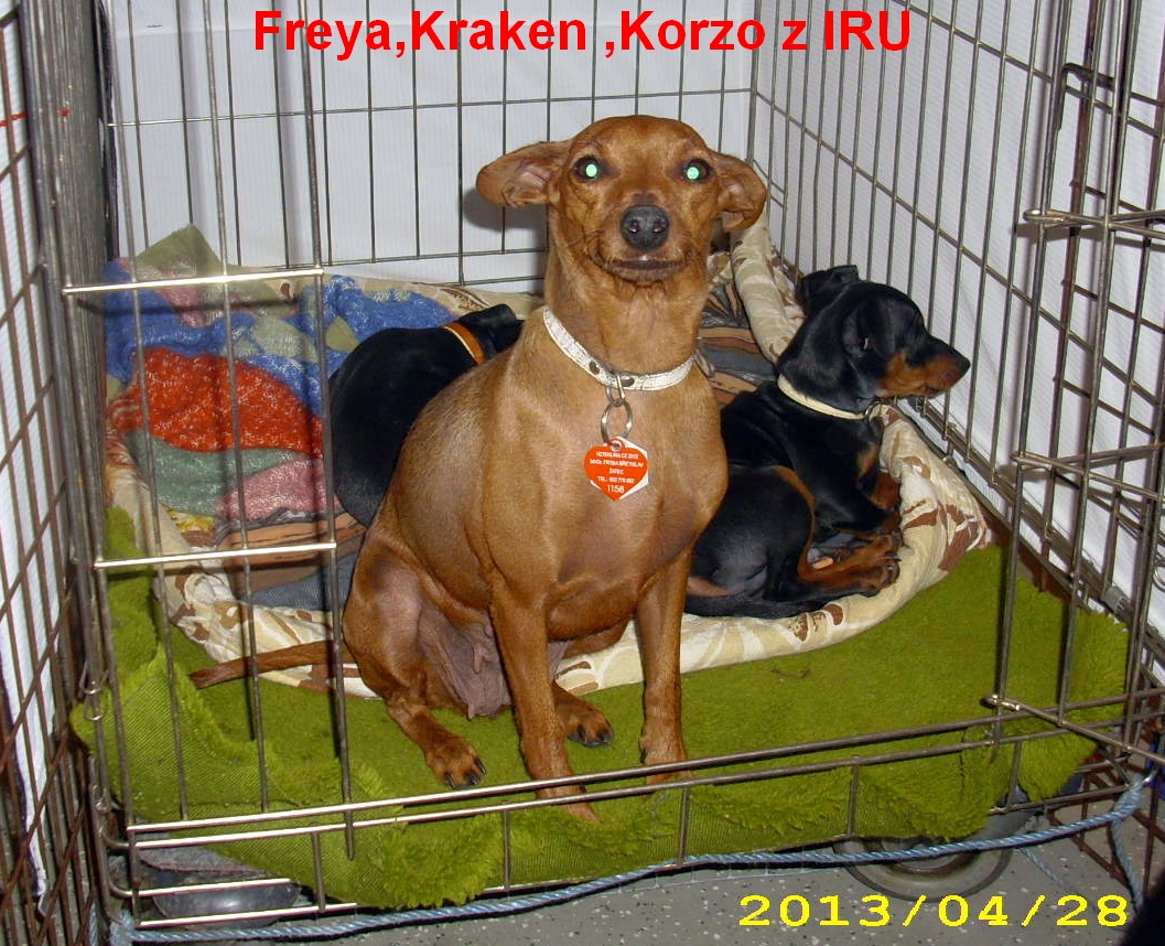 28.4.2013 Freya,Kraken,Korzo z IRU v Drážďanech,pohodička
