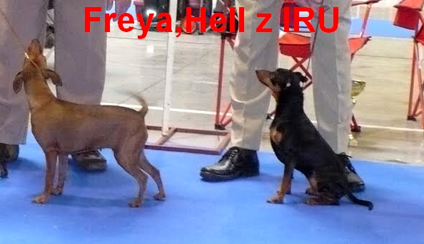 5.5.2013 Freya a Hell z IRU MVP Praha 2013