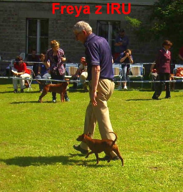 19.5.2013 Freya z IRU v kruhu,kl.výst. Praha Juwim
