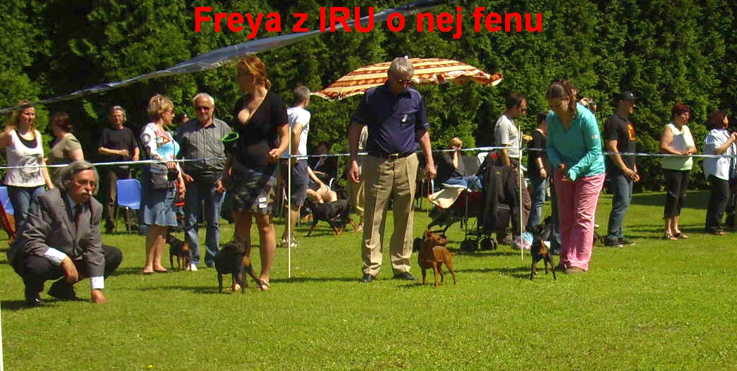 19.5.2013 Freya z IRU v kruhu a konkurence ,kl.výst. Praha Juwim