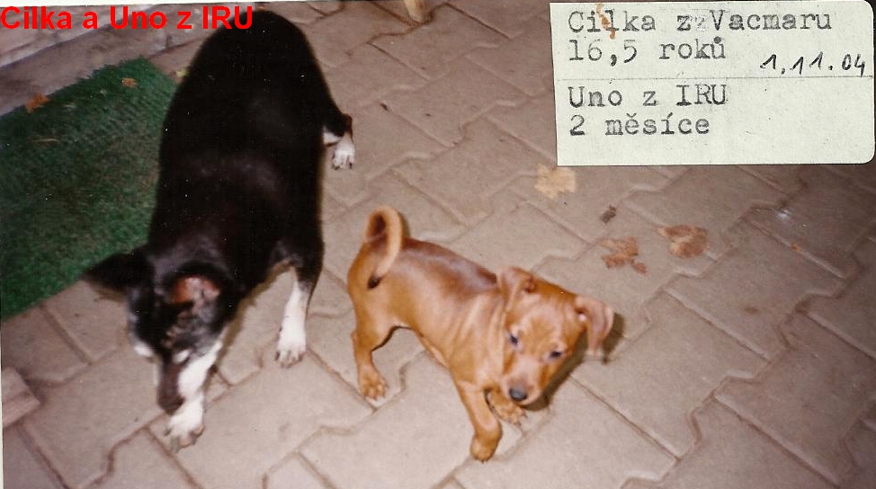 1.11.2004 Uno z IRU a Cilka z Vacmaru, nejmladší s nejstarší(P)