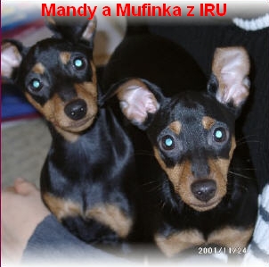 15.10.2008 Mandy a Mufinka z IRU