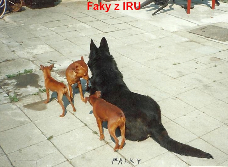 1995 červen Faky z IRU s kamarády