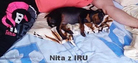 3.8.2015 Nita z IRU s paničkou v posteli