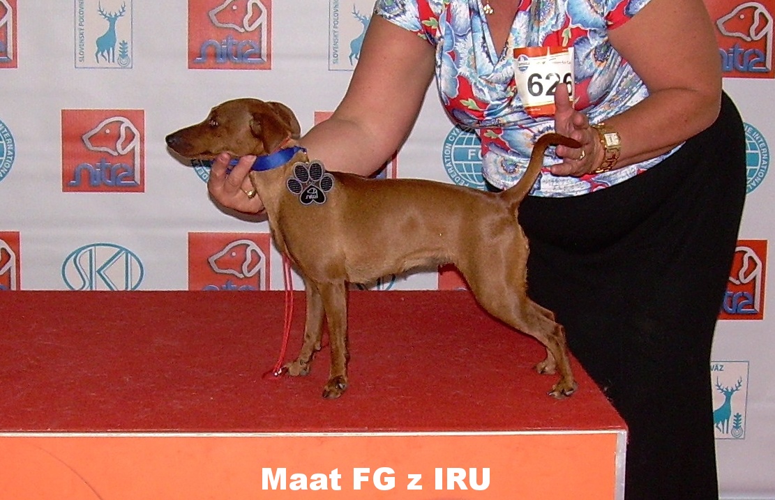 6.6.2015 Maat FG z IRU Slovenský šampion mladých