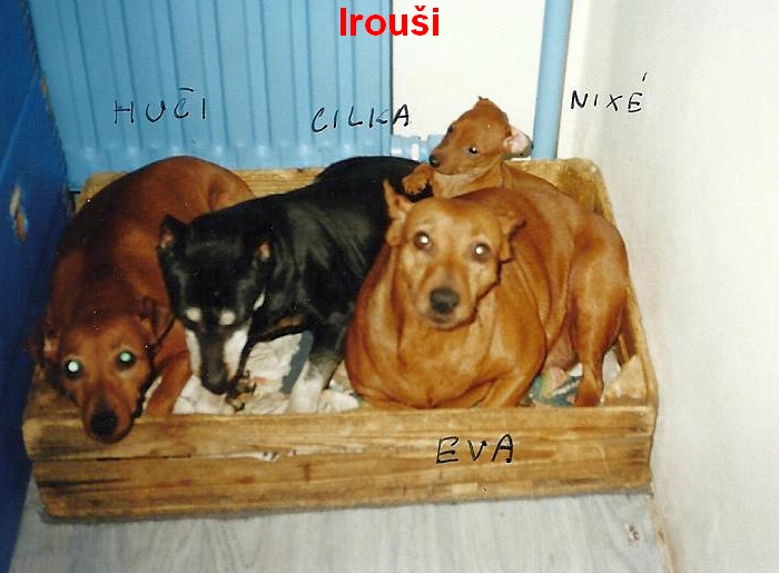 1.3.2002 Irouši Huči, Cilka,Eva,Nixé z IRU