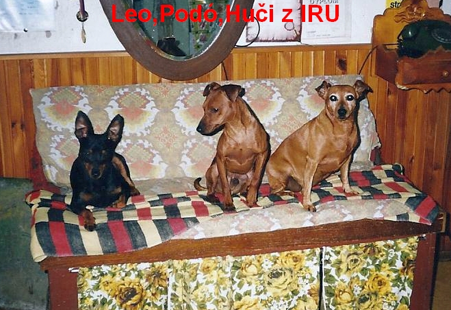 12.6.2003 Irouši Leo,Podó,Huči z IRU na lavici