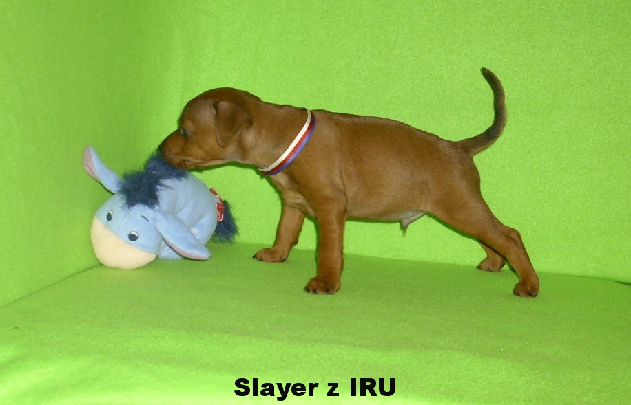 14.5.2017 Slayer z IRU postoj