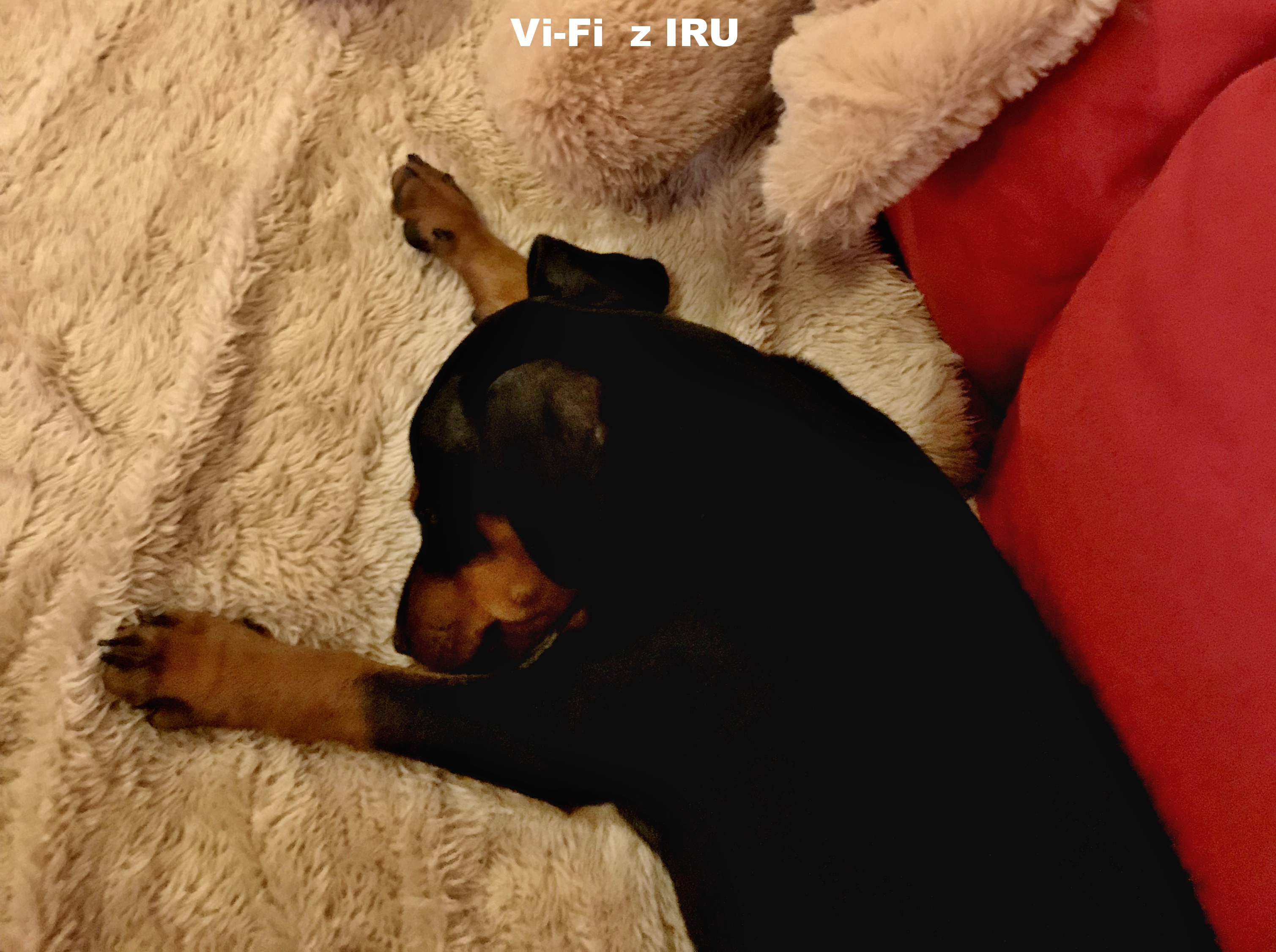 13.10.2018 Vi-Fi z IRU doma spí