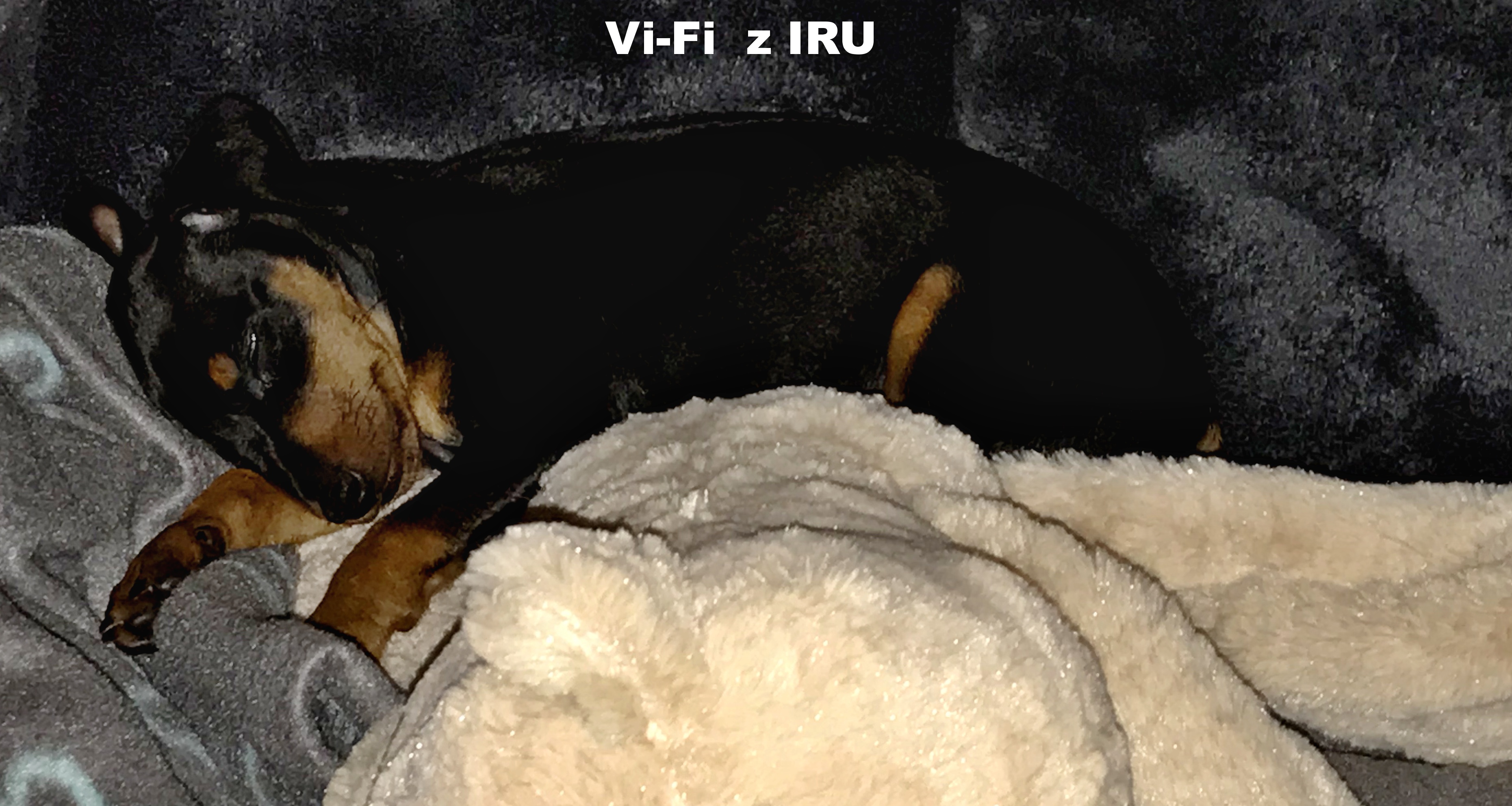 13.10.2018 Vi-Fi z IRU doma,spokojeně spinká