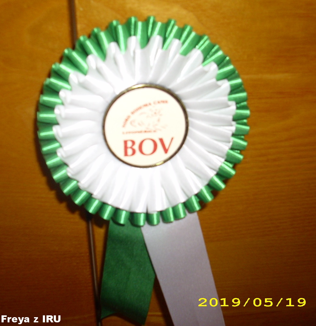 19.5.2019 Freya z IRU  BOV ,MVP Litoměřice 2019