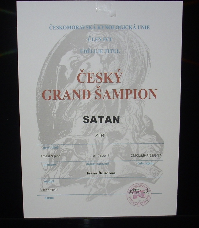 30.11.2019 Satan z IRU Grand šampion