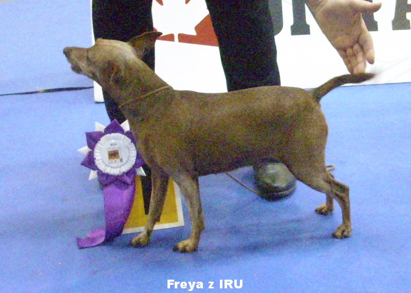 30.11.2019 Freya z IRU, MVP PH, V1, BOV