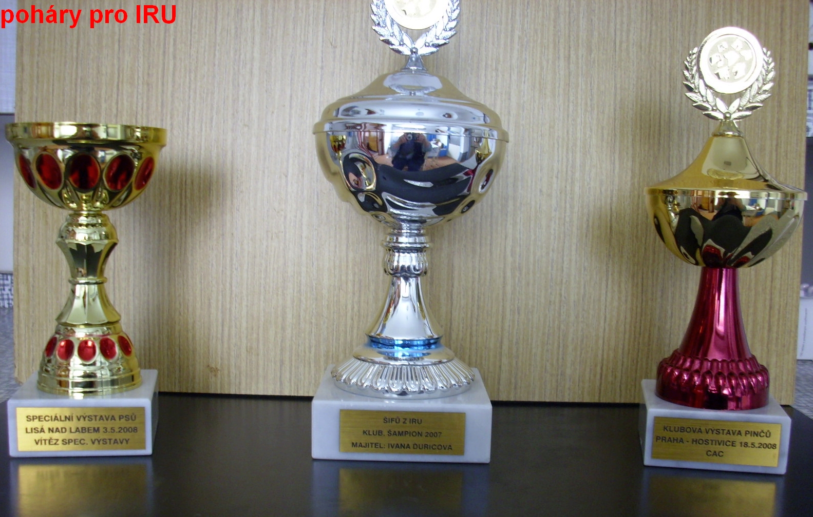 (36) 18.5.2008 Šífů z IRU Klubový šampion,Šarí z IRU V1,CAC,Klubová výstava  Praha,Vanilka z IRU V1,CAC,Vítěz spec.výstavy