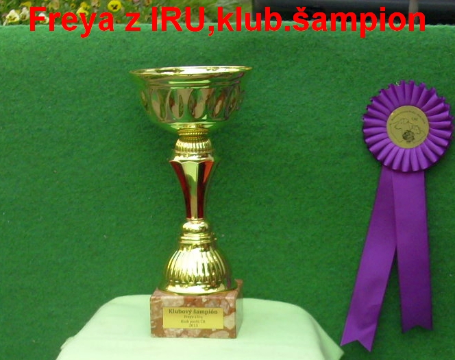 (65) 23.5.2014 Freya  z IRU Klubový šampion 2013 pohár