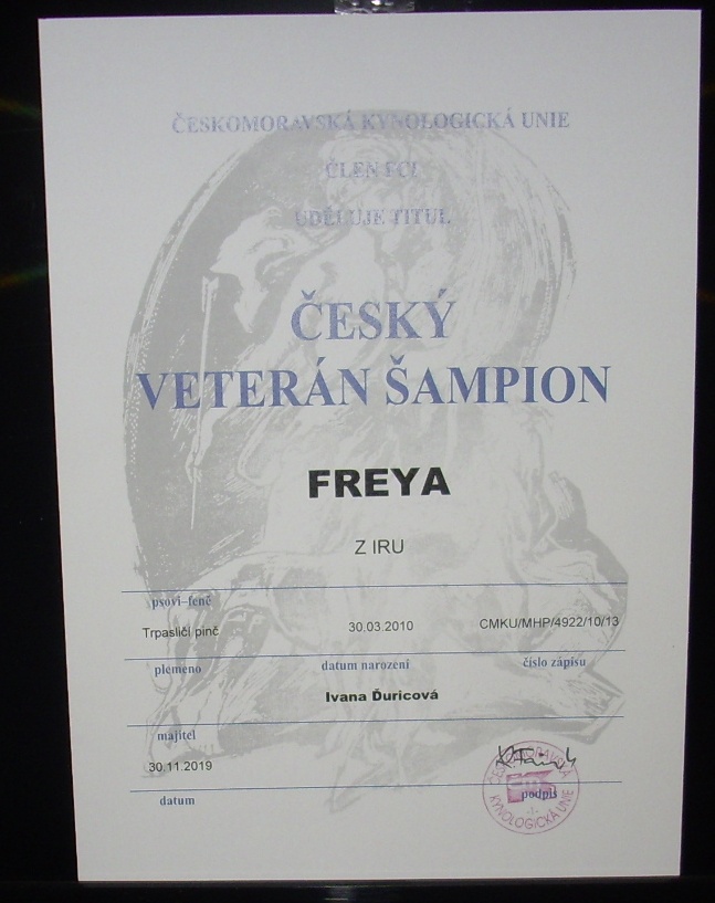 (84) 30.11.2019 Freya z IRU Veterán šampion