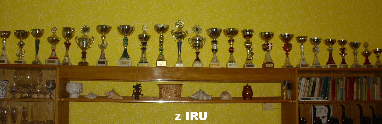 (90) 19.12.2019 poháry z IRU