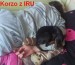 23.6.2013 Korzo z IRU spí s páníčkem